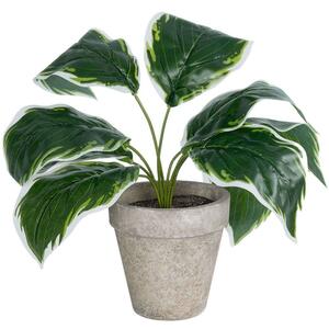 Τεχνητό Φυτό Σε Κασπώ Hosta 20900 Φ45x40cm Green-Grey GloboStar