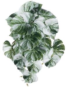 Τεχνητό Κρεμαστό Φυτό Albino Monstera 20609 45cm White-Green GloboStar