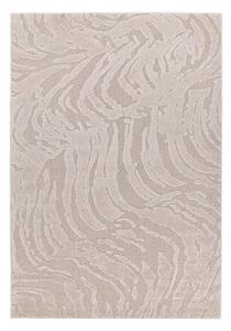 Χαλί (160x230) Royal Carpet Cocoon 59615/055