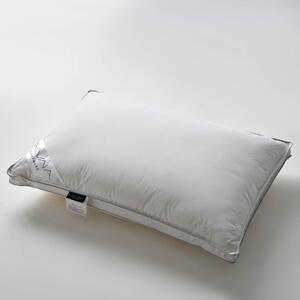 Μαξιλάρι Ύπνου Πουπουλένιο Μέτριο (48x68) La Luna Dream Catcher Pillow