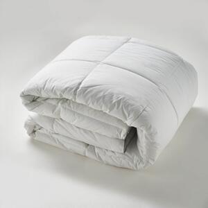 Πάπλωμα Μονό (160x220) La Luna Microfiber Quilt