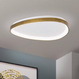 Φωτιστικό οροφής Charlie LED, Ø 65 cm, οπαλ λευκό, χρώμα ορείχαλκου αντίκες