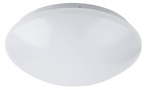 Rabalux 3439 - Φως οροφής μπάνιου LED LUCAS LED/24W/230V