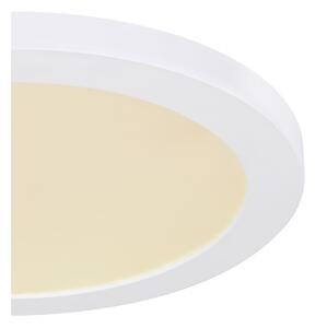 Globo 12379-24W - Φωτιστικό οροφής LED LASSE LED/24W/230V