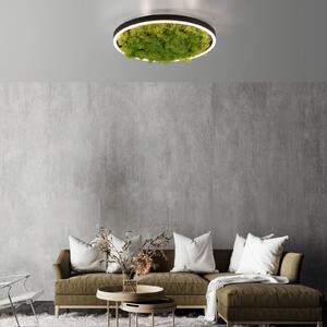 JUST LIGHT. GmbH LED φωτιστικό οροφής Green Ritus, βρύα dimmable Ø39.3cm, ρυθμιζόμενος, Πράσινο, Σαλόνι / τραπεζαρία, σύγχρονο