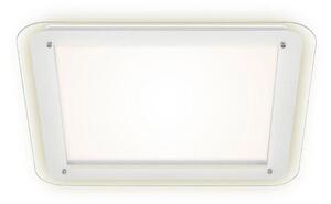 Briloner 3397-016 - Φωτιστικό οροφής LED FREE LED/22W/230V