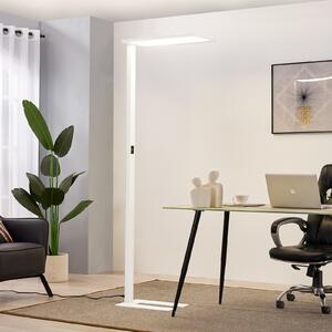 PRIOS Φωτιστικό δαπέδου γραφείου Prios LED Taronis, λευκό, 195 cm, ρυθμιζόμενο, ρυθμιζόμενος, Λευκό, Μελέτη / Γραφείο, Μέταλλο, σύγχρονο