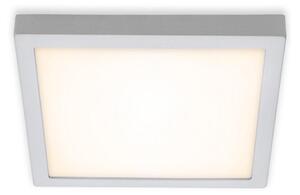 Briloner 7142-014 - Φωτιστικό οροφής LED FIRE LED/21W/230V 3000K