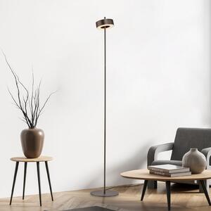 Q-Smart-Home Paul Neuhaus Smart LED φωτιστικό δαπέδου Q-Rotate σκούρο καφέ 140 cm, ρυθμιζόμενος, Καφέ / Σκουριάς, Σαλόνι / τραπεζαρία, Μέταλλο, σύγχρονο