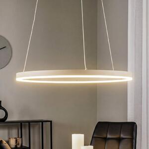 Arcchio Φωτιστικό οροφής LED Albiona, μπεζ, 1 δακτύλιος, Ø 60 cm, ρυθμιζόμενος, Μπεζ, Κουζίνα, Μέταλλο, σύγχρονο