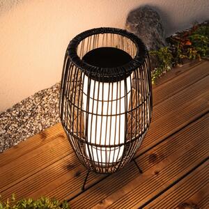Paulmann Plug & Shine Καλάθι φωτισμού LED RGBW, 40 cm, ZigBee
