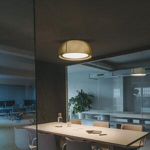 LEDS-C4 LED φωτιστικό οροφής Gong, πράσινο, 4.000 K, Ø 61,2 cm