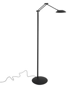 Steinhauer Λάμπα δαπέδου LED Daphne 2, 1 φωτιστικό, μαύρη, CCT, τηλεχειριστήριο, ρυθμιζόμενος, Μαύρο, Σαλόνι / τραπεζαρία, Μέταλλο, σύγχρονο