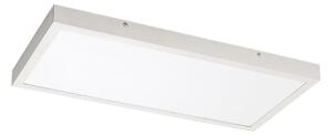 Rabalux 71077 - LED Φωτιστικό οροφής πλαφονιέρα DAMEK LED/24W/230V 4000K 60x30 cm