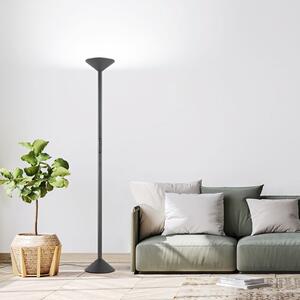 Fabas Luce Λάμπα δαπέδου LED Tratto, ανθρακί, μέταλλο, CCT, ρυθμιζόμενη ένταση φωτισμού, ρυθμιζόμενος, Μαύρο, Σαλόνι / τραπεζαρία, Μέταλλο, σύγχρονο