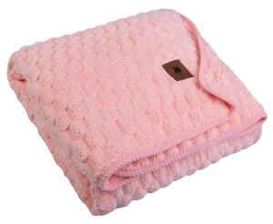 GREENWICH POLO CLUB ΚΟΥΒΕΡΤΑ FLEECE 80X110 ΒΑΒΥ 8833 ΣΟΜΟΝ