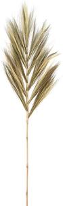Διακοσμητικό κλαδί Mustard grass - 150cm