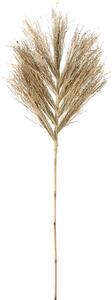 Διακοσμητικό κλαδί Star grass - 150cm