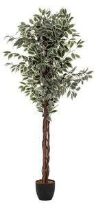 Tεχνητό φυτό σε γλάστρα Atmosphera - Φίκος - 180cm