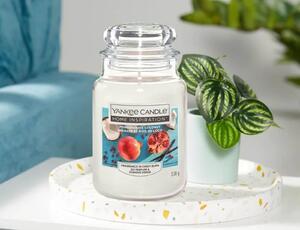 Αρωματικό Κερί Yankee Candle με διάρκεια καύσης έως 125 ώρες και άρωμα Pomegranate Coconut