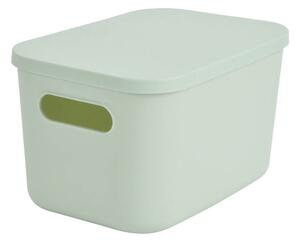 Κουτί Αποθήκευσης (25x17.5x14.5) L-C Sauge 6RAN840VC