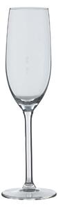 Ποτήρι Σαμπάνιας Κολωνάτο 160ml S-D Orpea 154791