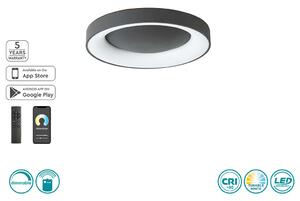 Φωτιστικό Οροφής Home Lighting Amaya 77-8153 Μαύρο Smart