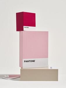 Sinsay - Κουτί αποθήκευσης Pantone - ροζ