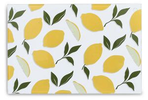 Δίσκος Κοπής (30x20) Z-L Lemons 26336