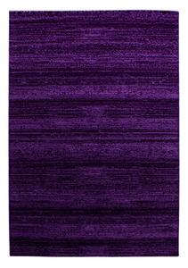Χαλί Plus Λιλά V1 240 x 340 cm