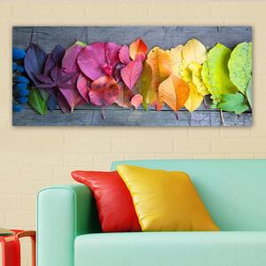 Πίνακας Bella Mira Πολύχρωμο 50x120 cm
