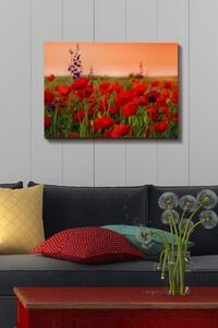 Πίνακας καμβά Πολύχρωμος 50x70x3 cm