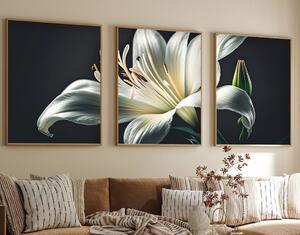 Πίνακας, σετ 3 τεμαχίων Huhu224 Πολύχρωμος 50x70 cm