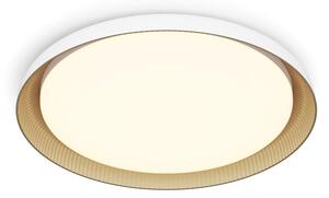 Philips - LED Dimmable φωτιστικό οροφής PEBBLO LED/10W/230V 2700K λευκό