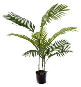 Διακοσμητικό φυτό κήπου Areca Pako World Μαύρο 80x80x80 cm