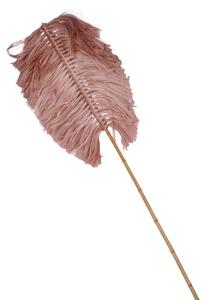 Διακοσμητικό φυτό Flerry Boho Pako World Natural 20x200x8 cm