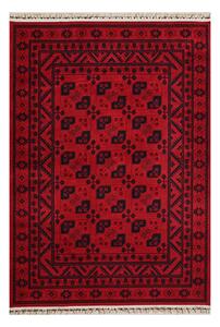 Χαλί (160x230) Pierre Cardin Vienna HY01 Bordo