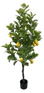 Διακοσμητικό φυτό Lemon tree Πράσινο 150 cm