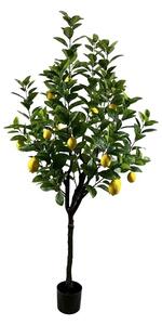 Διακοσμητικό φυτό Lemon tree Πράσινο 180x180x180 cm