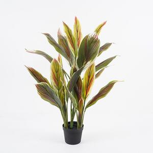 Διακοσμητικό φυτό με γλάστρα Cycas Πράσινο 55x55x80 cm