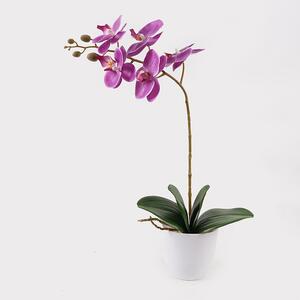 Διακοσμητικό φυτό με γλάστρα Orchid Μωβ 30x13x46 cm