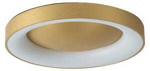 Φωτιστικό Πλαφονιέρα Led Dimmable Homelighting Amaya 77-8159 Gold