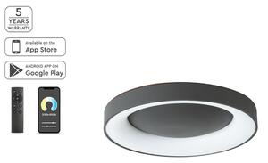 Φωτιστικό Πλαφονιέρα Led Dimmable Smart WiFi Homelighting Amaya 77-8153 Black