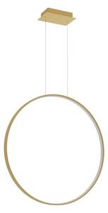 Κρεμαστό φωτιστικό LED Rio, Χρυσό, 3000K, 78x16x150 cm