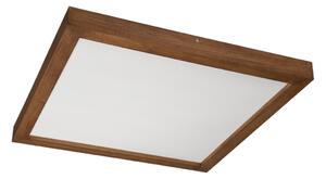 Brilagi-LED Φωτιστικό dimming WOODY FRAME LED/50W/230V δρυς 60x60 cm IP44 + RC