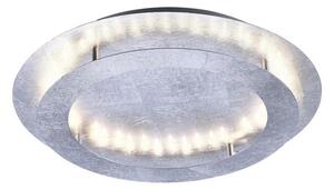 Paul Neuhaus 9621-21 - LED Φωτιστικό οροφής NEVIS LED/24W/230V