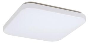 Rabalux 3344 - Φως οροφής LED ROB LED/32W/230V