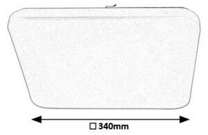 Rabalux 5699 - Φως οροφής dimmer LED EMMETT LED/16W/230V