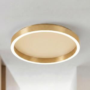 Lucande Φωτιστικό οροφής LED Rotundo, Ø 40 cm, ορείχαλκος, με ρυθμιζόμενη, ρυθμιζόμενος, Χρυσό / Ορείχαλκου, Σαλόνι / τραπεζαρία, Πλαστικό, σύγχρονο