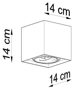 Φωτιστικό σποτ VALDE 1xGU10/40W/230V